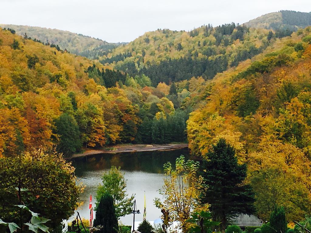 Haus Panoramablick Villa Sieber Ruang foto